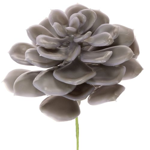 Kunstmatige vetplantbloemen van was, decoratie, 10 cm, 6 stuks kopen | Floristik24.nl