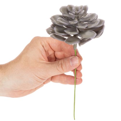 Kunstmatige vetplantbloemen van was, decoratie, 10 cm, 6 stuks | Floristik24.nl