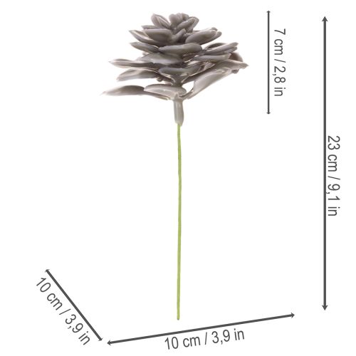 Kunstmatige vetplantbloemen van was, decoratie, 10 cm, 6 stuks | Floristik24.nl