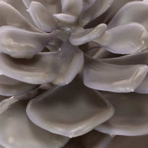 Kunstmatige vetplantbloemen van was, decoratie, 10 cm, 6 stuks | Floristik24.nl