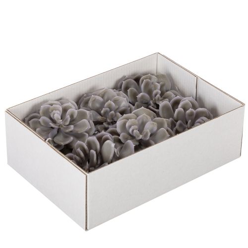 Kunstmatige vetplantbloemen van was, decoratie, 10 cm, 6 stuks | Floristik24.nl