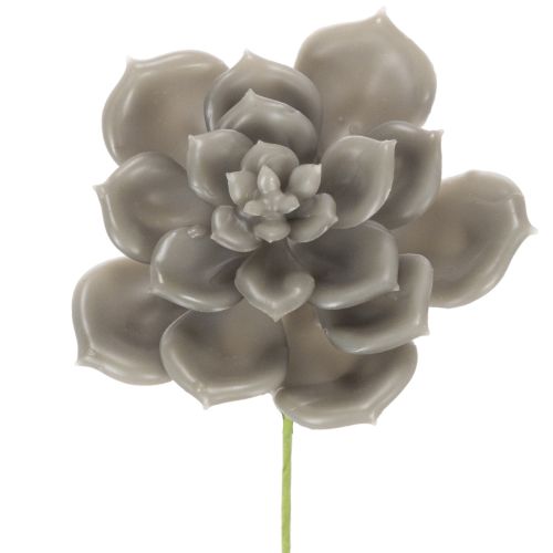 Kunstmatige vetplant van was met draad, 8 cm, 8 stuks kopen | Floristik24.nl