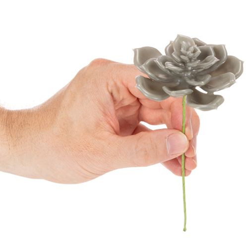 Kunstmatige vetplant van was met draad, 8 cm, 8 stuks | Floristik24.nl