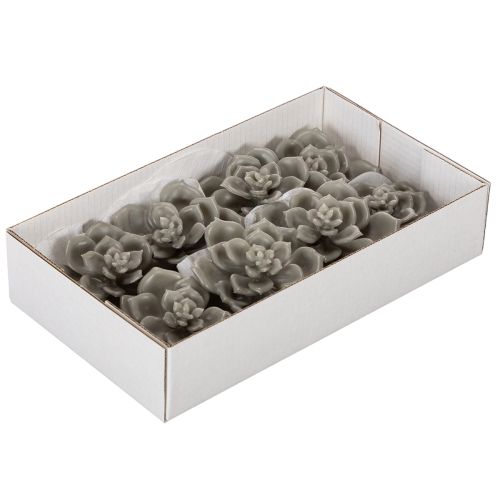 Kunstmatige vetplant van was met draad, 8 cm, 8 stuks | Floristik24.nl