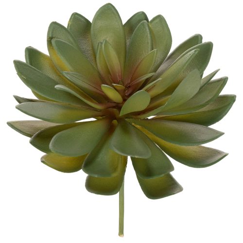 Kunstmatige vetplant als decoratieve plant, groen, 18 cm, 3 stuks kopen | Floristik24.nl