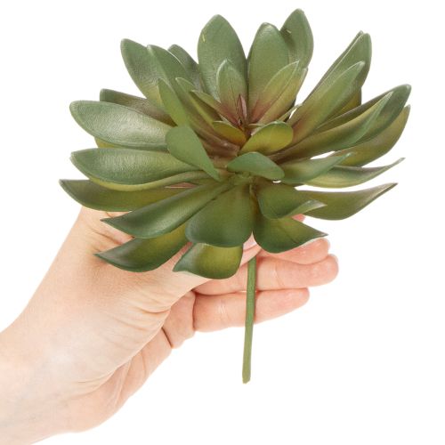 Kunstmatige vetplant als decoratieve plant, groen, 18 cm, 3 stuks | Floristik24.nl