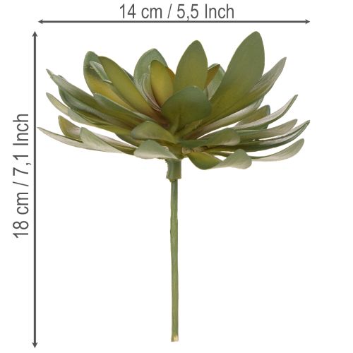 Kunstmatige vetplant als decoratieve plant, groen, 18 cm, 3 stuks | Floristik24.nl