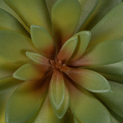 Kunstmatige vetplant als decoratieve plant, groen, 18 cm, 3 stuks | Floristik24.nl