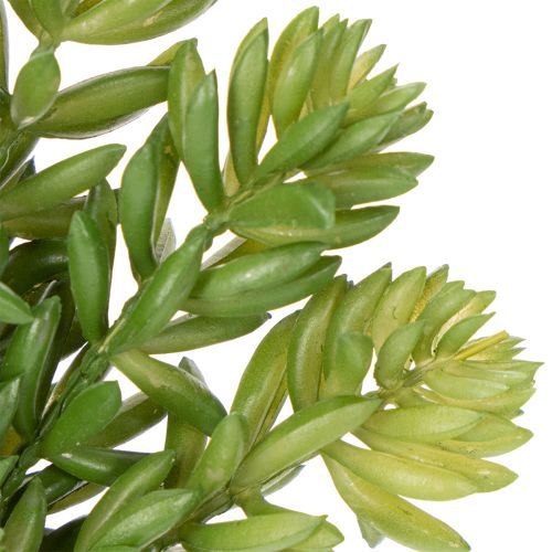 Artikel Kunstmatige vetplant voor een onderhoudsarme inrichting van woon- en kantoorruimtes, 15 cm, 5 stuks