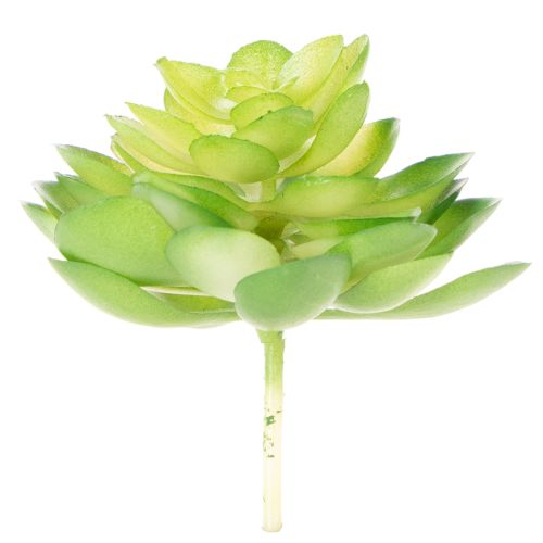 Kunstmatige vetplant, groen, voor decoratie in een schaal of vaas, 10 cm, 4 stuks | Floristik24.nl