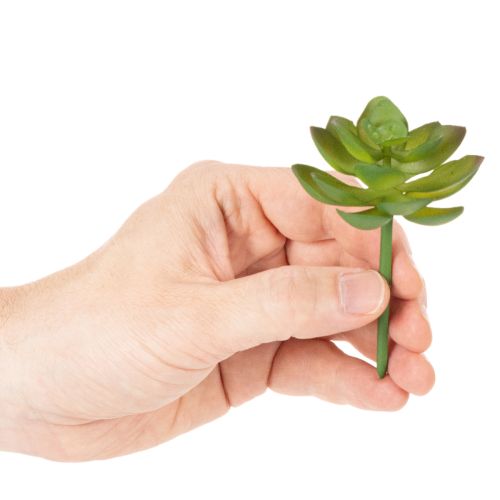 Kunstmatige groene vetplant als decoratie voor creatieve arrangementen. | Floristik24.nl