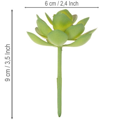 Kunstmatige groene vetplant als decoratie voor creatieve arrangementen. | Floristik24.nl