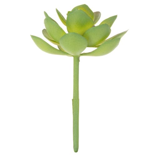 Kunstmatige groene vetplant als decoratie voor creatieve arrangementen. | Floristik24.nl