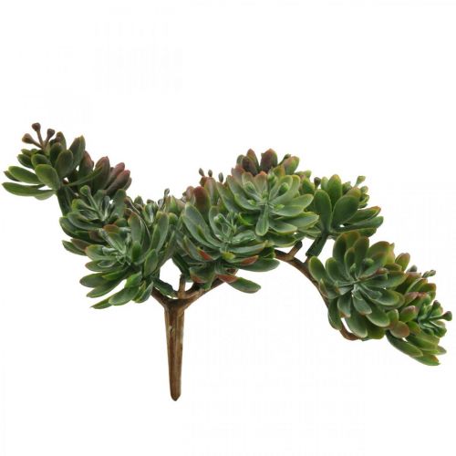 Floristik24 Kunstvetplant om op te plakken groen, rood 12cm