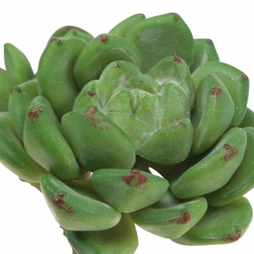 Artikel Succulent Echeveria kunstgroen H15cm