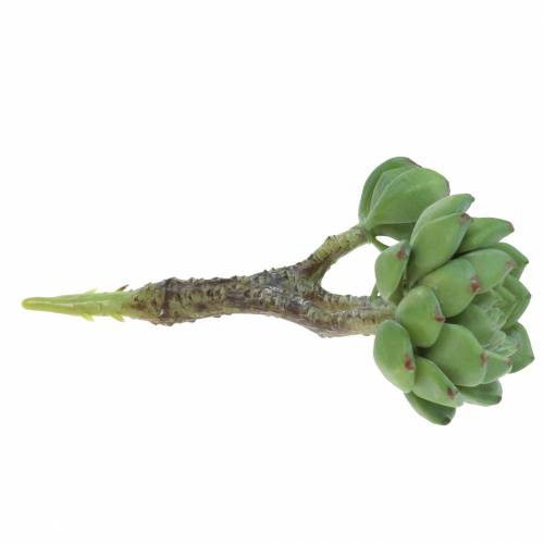 Artikel Succulent Echeveria kunstgroen H15cm