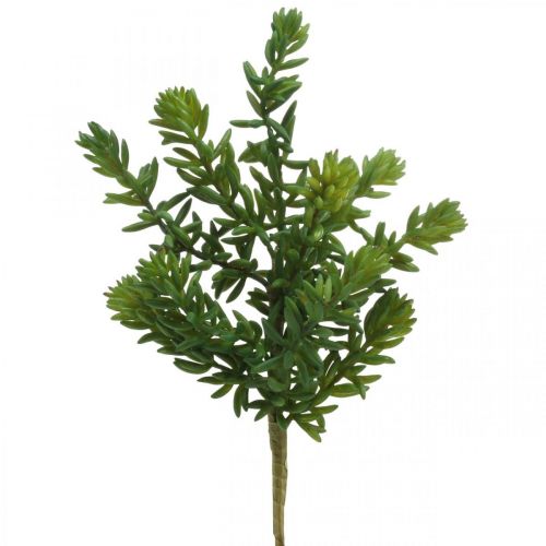 Succulente groene kunstplant om te plakken 25cm groen 2st