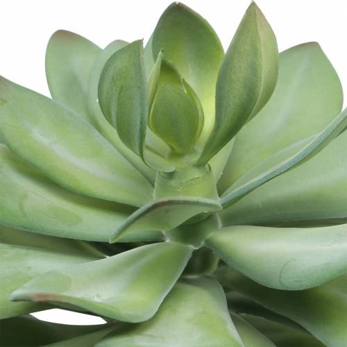 Floristik24 Decoratieve vetplant kunstgroen Ø30cm H27cm