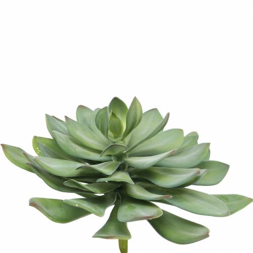Floristik24 Decoratieve vetplant kunstgroen Ø30cm H27cm
