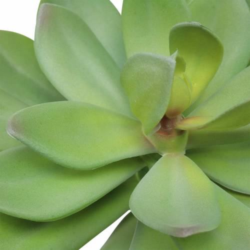 Artikel Kunst vetplant groen 27cm