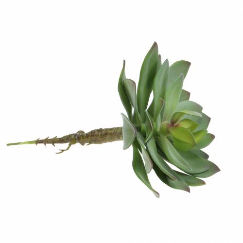 Artikel Kunst vetplant groen 27cm