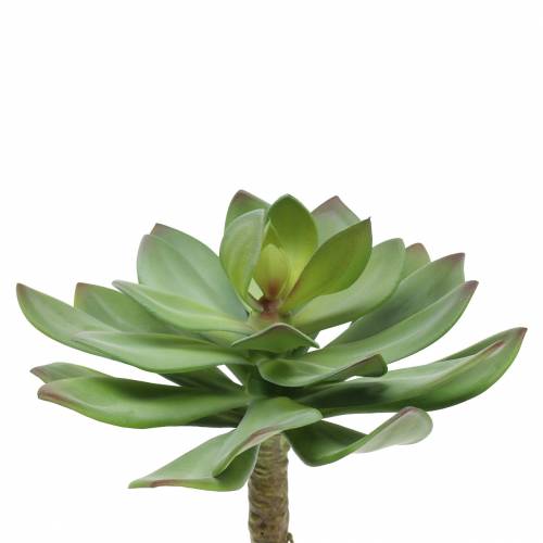 Kunst vetplant groen 27cm