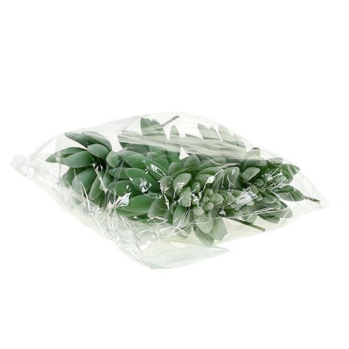 Artikel Vetplant Echeveria Ø6,5cm L11cm 6 st