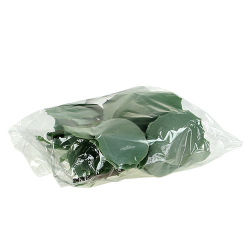 Floristik24 Succulente muurpeper L18cm 4st