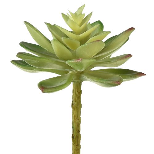 Artikel Kunstmatige vetplanten Kunstplanten Groen Ø10cm 4 st.