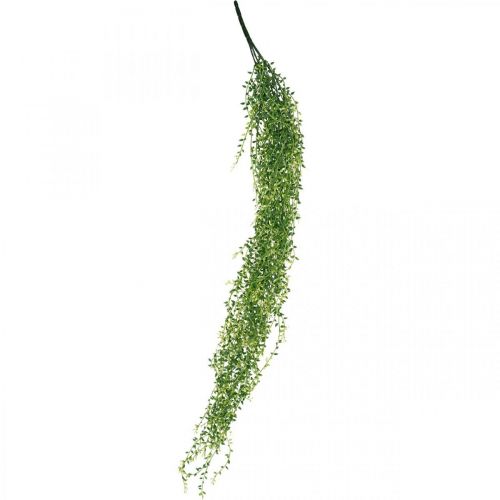 Floristik24 Succulente kunsthangplant groen 96cm