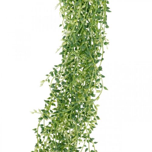 Artikel Succulente kunsthangplant groen 96cm