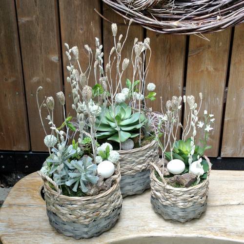 Kunst vetplant groen 27cm