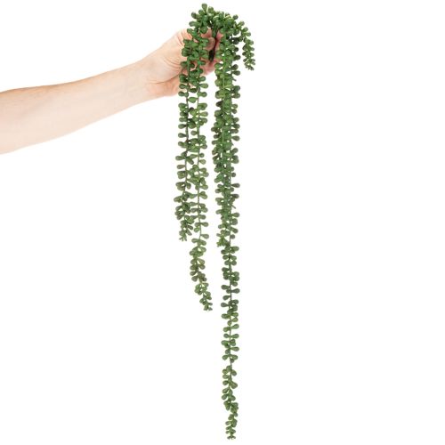 Hangende slinger van kunstplanten met vetplanten als decoratie voor de woonkamer | Floristik24.nl