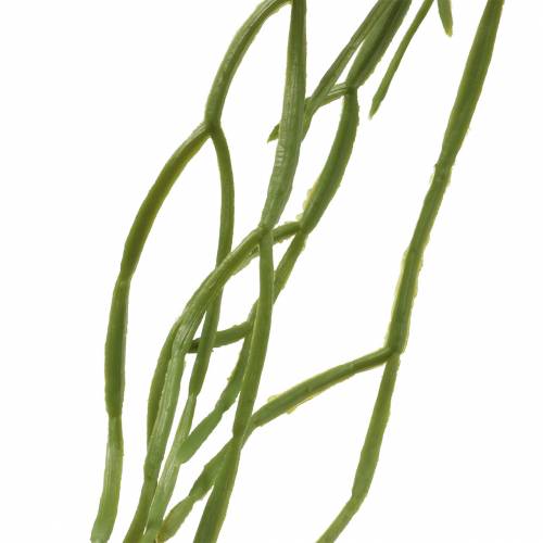 Floristik24 Succulente hangende kunstgroen 110cm