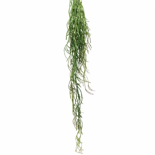 Floristik24 Succulente hangende kunstgroen 110cm