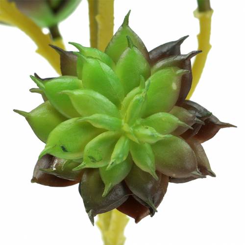 Artikel Succulente pick groen / bruin 35,5 cm