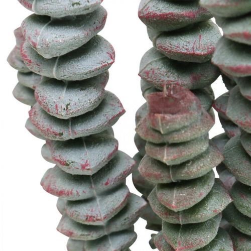 Floristik24 Kunst succulent groen, rood Kunstplant om op te plakken 19cm