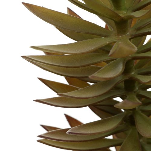 Artikel Succulente tak lichtbruin groen 48cm