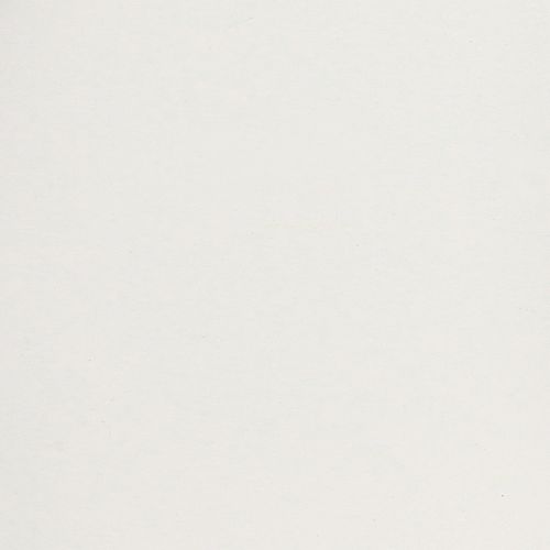 Artikel Dienblad met praktische handgrepen voor veelzijdig gebruik in huis en de horeca, 30 cm