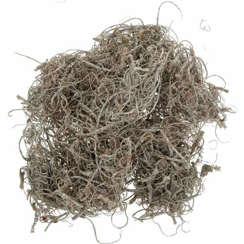 Floristik24 Tamarindevezel naturel gewassen wit 500g