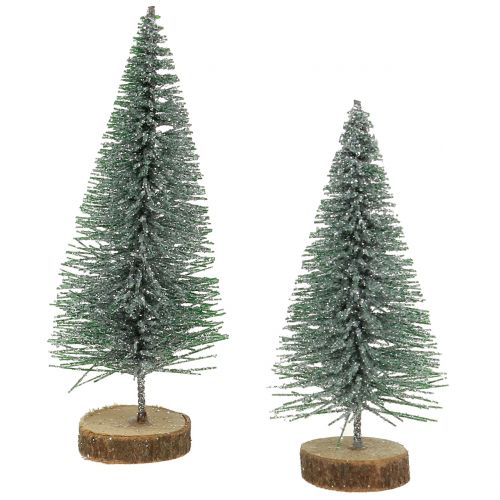 Floristik24 Spar zilver 8cm 24 st