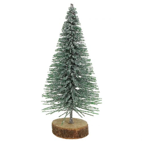 Floristik24 Spar zilver 8cm 24 st