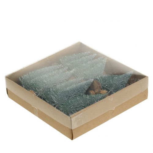 Floristik24 Spar zilver 8cm 24 st