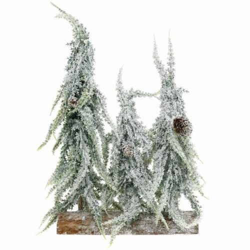 Floristik24 Dennenbomen met sneeuw, adventsdecoratie, winterbos L16.5cm H28cm