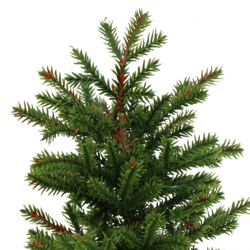 Floristik24 Dennenboom in pot groen 23cm