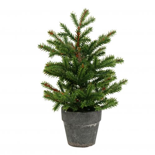 Floristik24 Dennenboom in pot groen 23cm