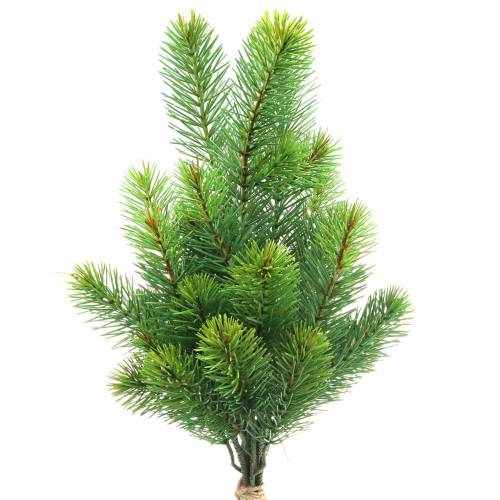 Floristik24 Dennentakken groen 43/54cm 6st