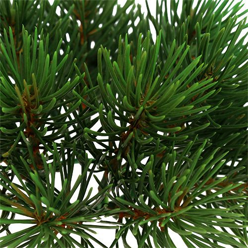 Floristik24 Dennenkrans Ø15cm 1st