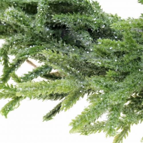 Floristik24 Dennenkrans Ø30cm groen