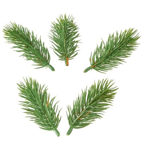 Floristik24 Dennenpunten groen 10cm 36st